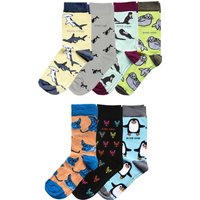 The Ultimate Ocean Lovers Collection | UK Adult 7-11