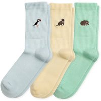 Ribbed Summer Sorbet Collection 3 Pack | UK Adult 4-7