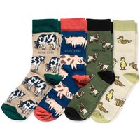 Farm Rainbow Bundle of 4 Bamboo Sock Set | UK Adult 4-7