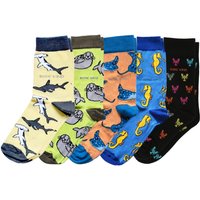 Ocean Rainbow 5 Pack Bamboo Sock Set | UK Adult 7-11