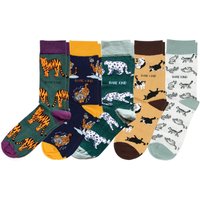 Ultimate Cat Bamboo Sock Set | UK Adult 7-11