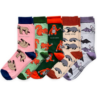 Bestsellers 5 Pack Bamboo Sock Set | UK Adult 4-7