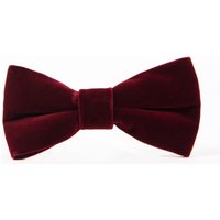 Wine velvet bowtie