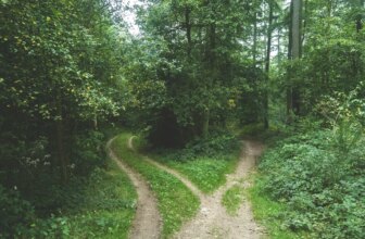5 Decisions You Have to Make Before You Incorporate in Canada