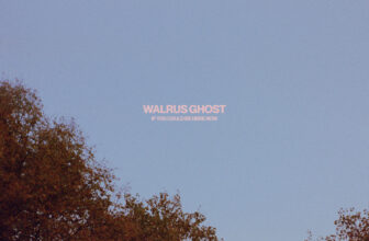 If You Could Be Here Now by Walrus Ghost – Stationary Travels