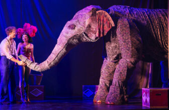 ‘Water for Elephants’ Review: Broadway Circus Magic Comes to the Civic Theatre