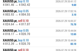 How Risk Management and Market Analysis Help Traders Capture Gold Market Opportunities – Rehana William |Financial Consultant _Forex_Gold Xauusd| Fund Manager