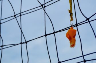 SEC Hangs Up Its Whistle on Shareholder Proposals