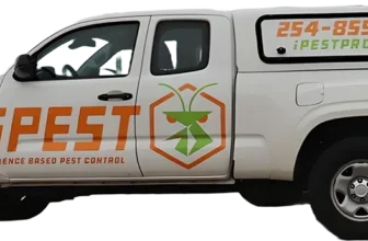 Your Seasonal Pest Prevention Calendar: Year-Round Guide iPest Solutions | Waco, San Antonio, College Station