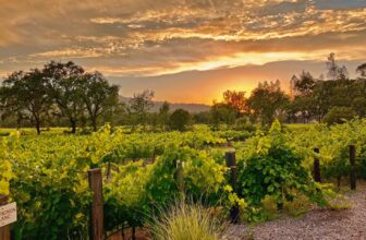 Titus Vineyards and the Art of Cabernet