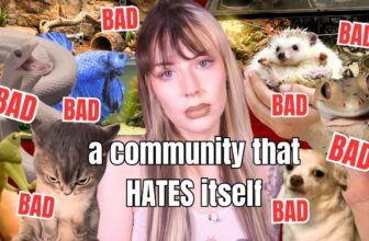 The Animal Community Hates Itself