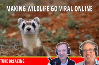Ze Frank on the Science and Voice Behind True Facts