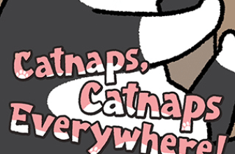 Catnaps, Catnaps Everywhere | Review
