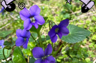 The Essential Herbal Blog: Essential Herbal Magazine