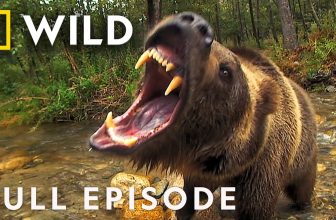 Inside America’s Last Wild Frontier (Full Episode) | Alaska’s Deadliest | Nat Geo Animals