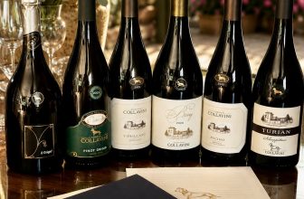 Collavini: Where Tradition Meets Innovation in Collio