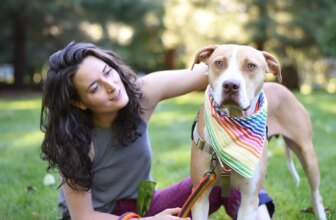 A Far-Away Foster Match for a NJ Family — Foster Dogs