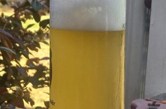 Fuggled: Some Closing Thoughts