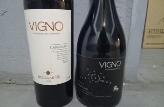 Wine Review: VIGNO Taste-off – The Wine Diplomats