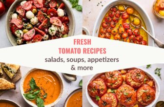 Fresh Tomato Recipes | Olive & Mango