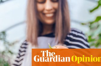 I tried to become a gay tradwife – and failed abysmally | Arwa Mahdawi