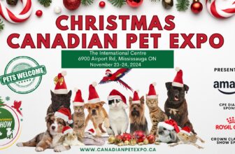 Favorite things at Canadian Pet Expo 2024