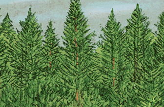 Mining Federal Lands for Profits
