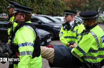 More than 50 Palestine Action support rally protesters arrested