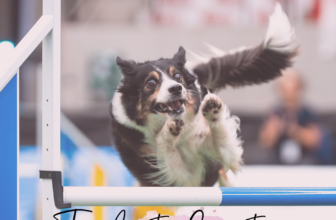 New Podcast Episode – Why did my dog drop that bar?