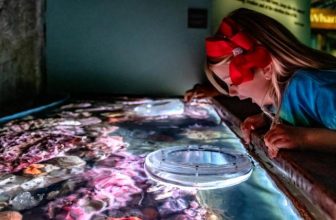 What happens when young people get the chance to experience marine life, learn together, and realize&hellip;