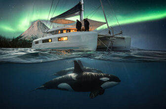 Swim with Orcas + Chase the Aurora in Arctic Norway