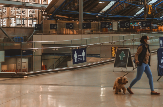 Top Dog Carriers for Stress-Free Canadian Flights