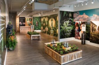 Our Top 6 Picks – CBD Shopy