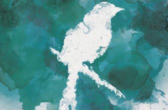 Anky’s Book Bubble: Review: Voice of the Soul