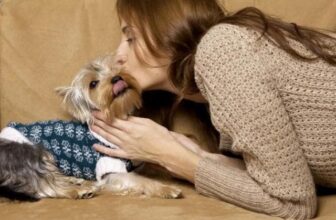 Five Life-Lengthening Health Tips for Your Pet