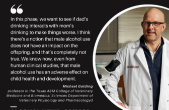 Alcohol News: Alcohol News – 22/2026