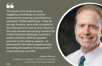 Alcohol News: Alcohol News – 38/2026