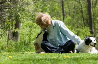 Dog Owners? Guardians? Who are we to our dogs?
