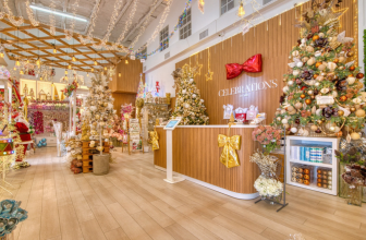 Christmas Starts at Celebrations | Enchanted Christmas Store