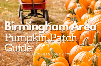 Pumpkin Patches Near Birmingham, AL: Your 2026 Family Guide