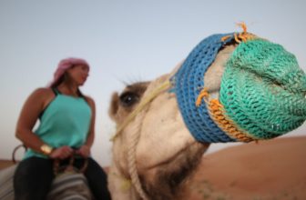Bucket List Travel Experiences | Chic Family Travels