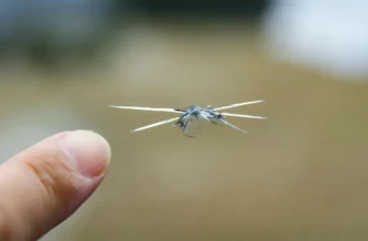 Can You Repair a Cracked or Chipped Windshield?