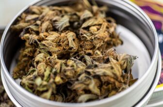 Can CBD Help Inflammation? Here’s What You Need to Know!
– NuHemp CBD
