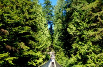 Save that Beer Money with these Cheap and Best Hostels in Vancouver BC