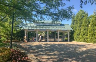 7 Ways to Make Family Memories at the Cincinnati Zoo
