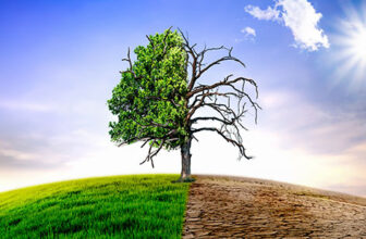 Apocalyptic warnings mask a prosperous reality at COP30