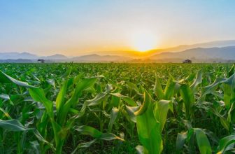 Farm Groups Rally Behind Senate Committee Approval of 2026 Farm Bill
