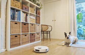 Robot Vacuum Review: the Ecovacs DeebotT9+