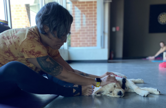 Puppy Yoga on June 21st
