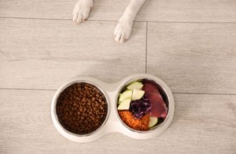 Fresh Pet Food: What Pet Owners Should Know
